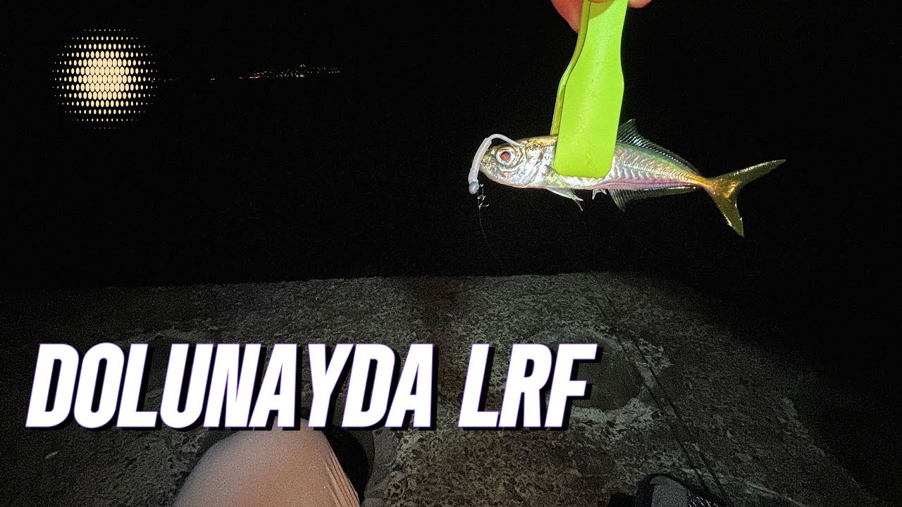 İstanbul'da LRF Avı Bol Aksiyonlu Bol İstavritli 🎣