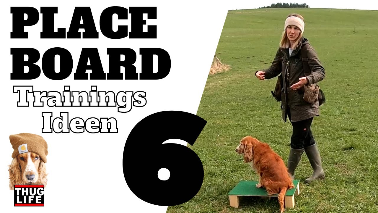 Training mit dem Placeboard - Teil 2