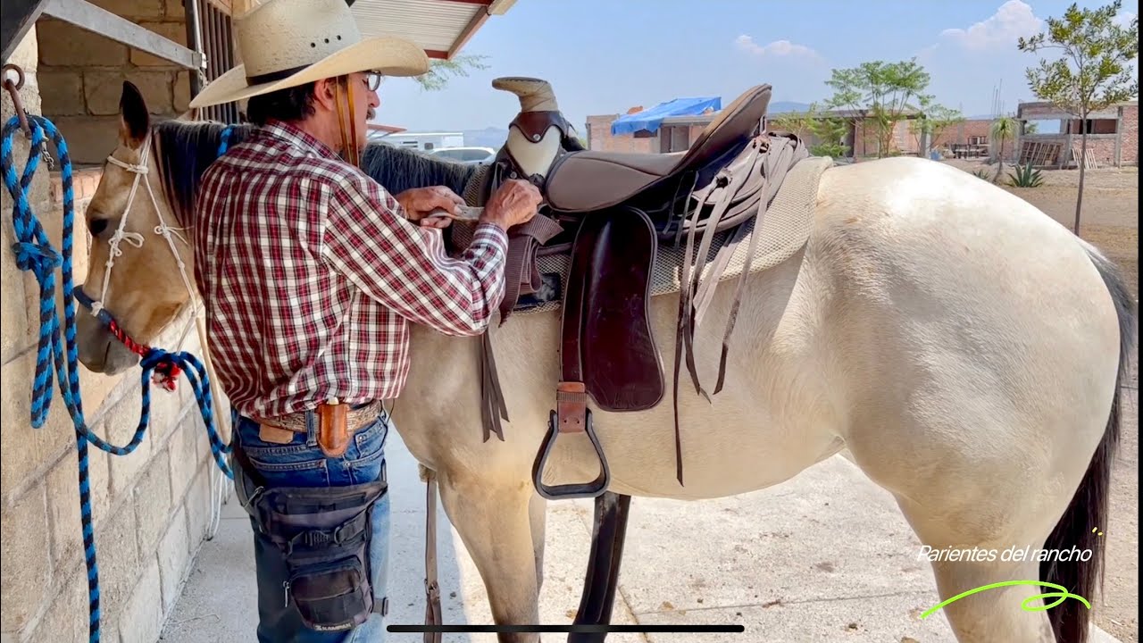Cómo arrendar un caballo  (Parte 1) #parientesdelrancho #RanchoJR