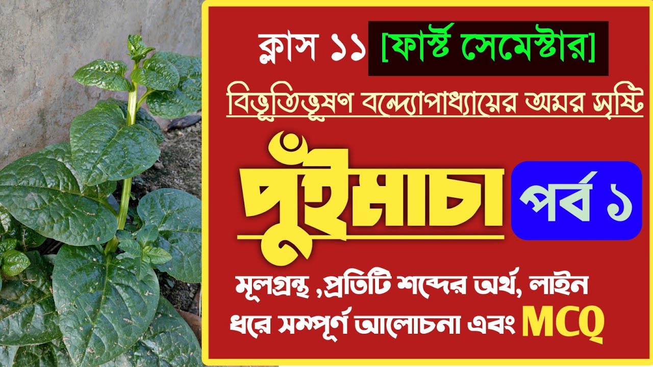Pui Macha Galpo Class 11 Bengali 1st semester  || পুঁইমাচা গল্পের আলোচনা Part 1 ||