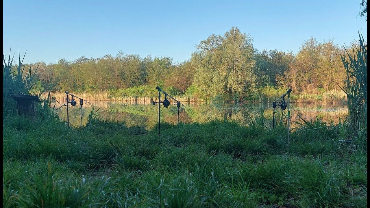 Лов коропа на річці.