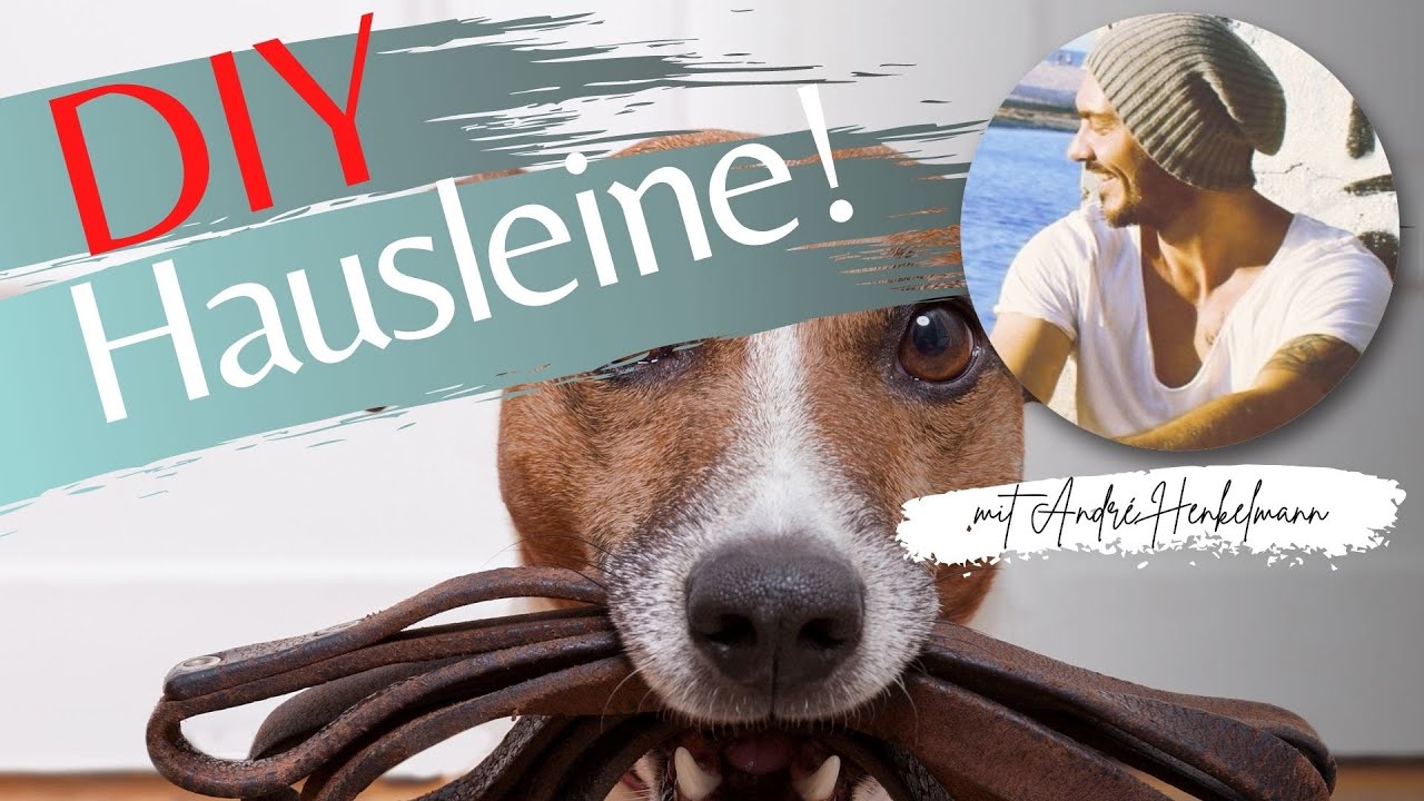 Hausleine für Welpen und Junghunde (DIY) Hundeerziehung/Profi-Tipps!