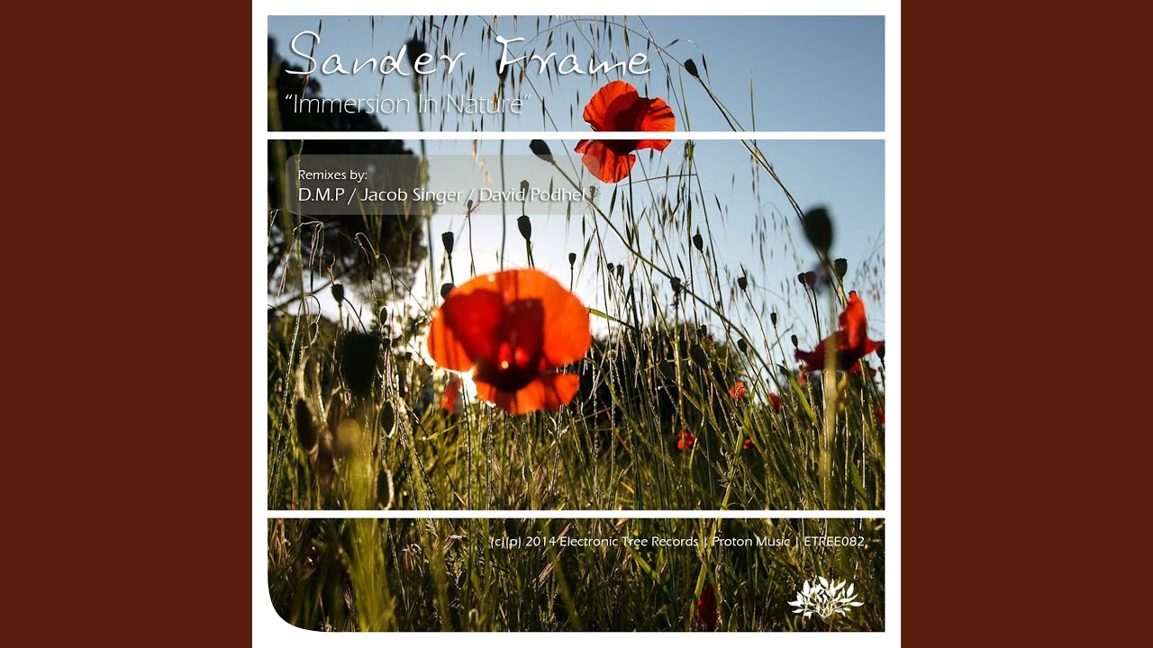 Immersion in Nature (D.M.P Remix)