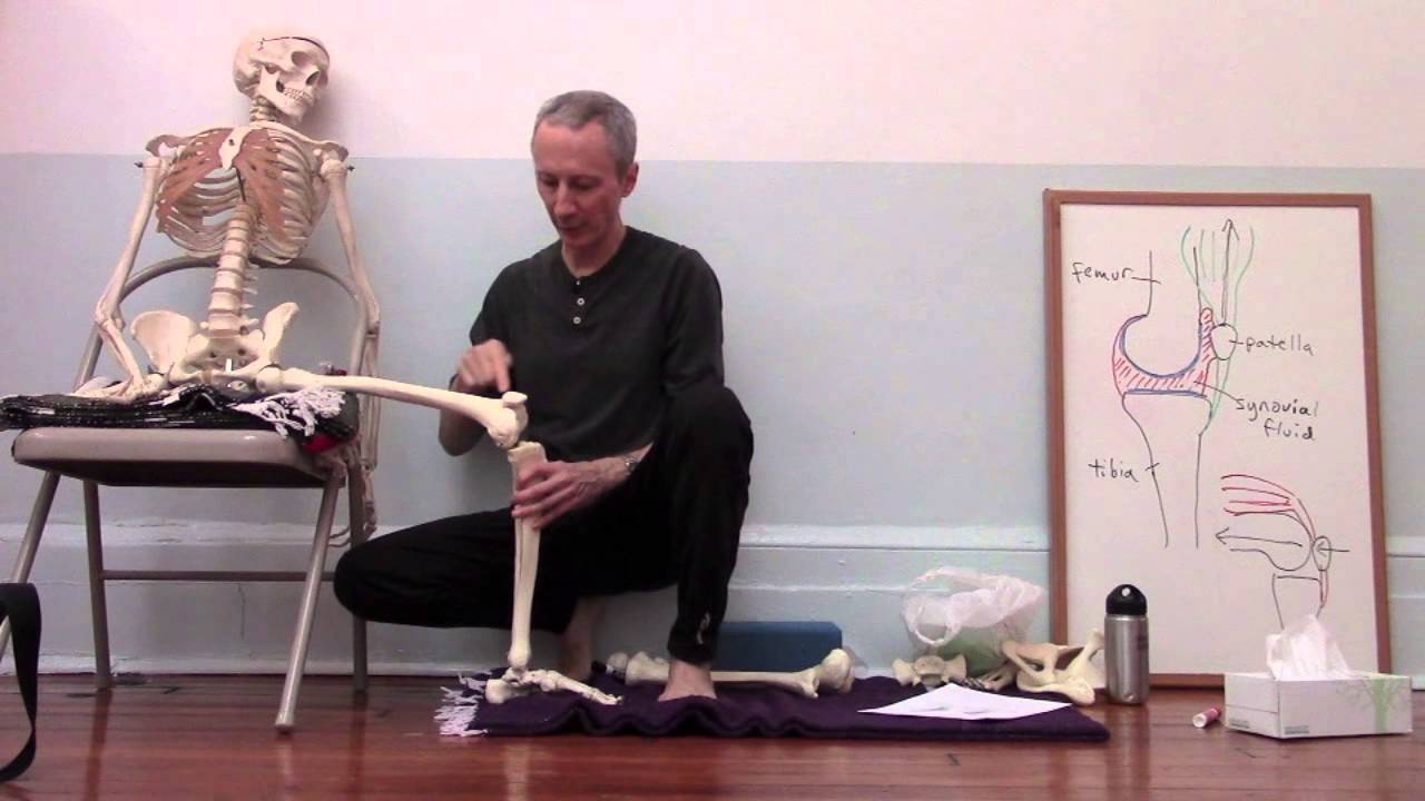Yoga anatomy: Knee alignment in Warrior II