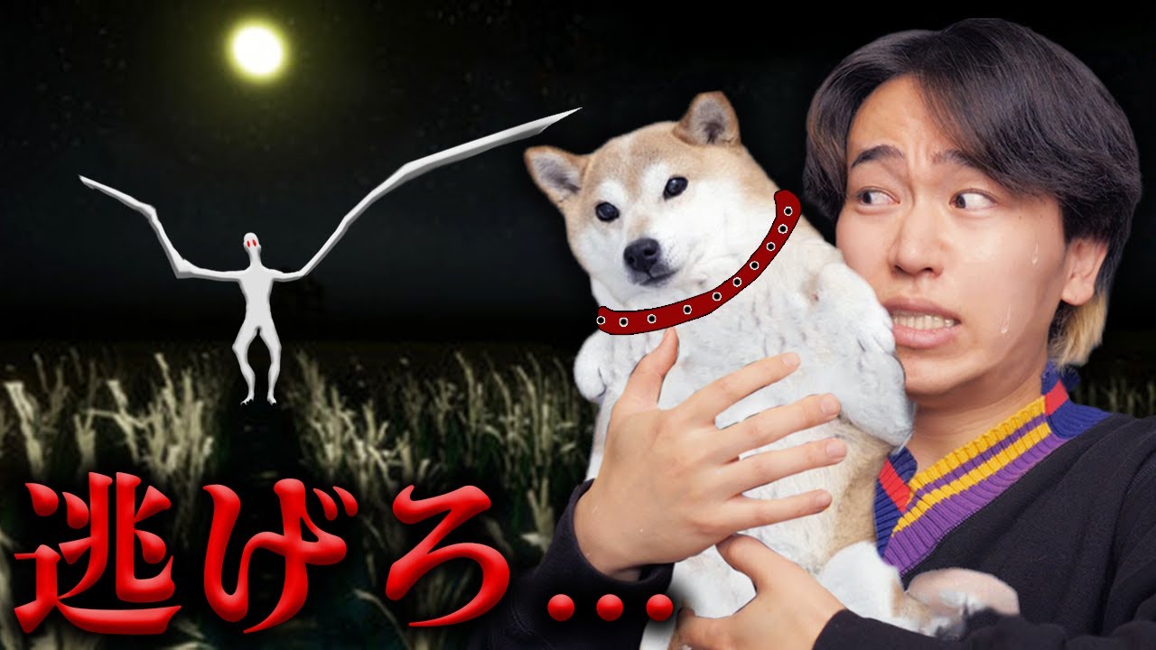 夜の田んぼを犬と散歩していたら恐怖の『くねくね』を見てしまった結果がヤバすぎた。。。【たんぼ】