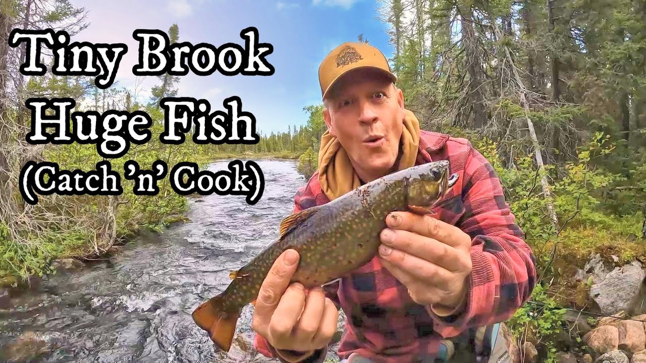 I FINALLY got to my Favourite, TINY BROOK.  It was worth the wait. Shoreline Catch 'n' Cook.