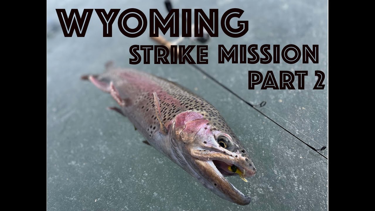 Ice Fishing Wyoming For Large Trout - EVENING BITE #wyoming #icefishing #troutfishin#catchandrelease