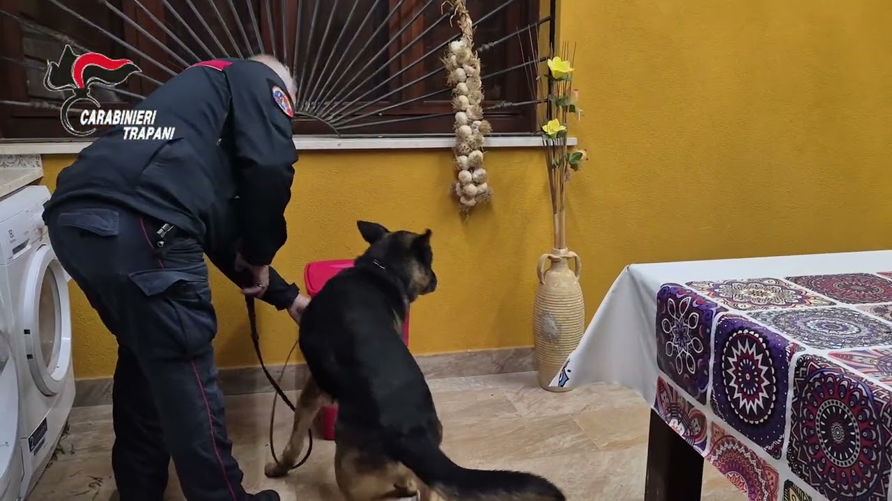 Operazione “Nirvana”: 13 misure cautelari nell’inchiesta della Procura di Trapani
