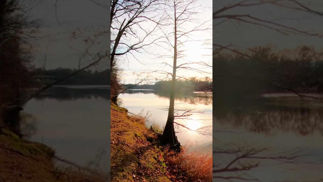 Park walk with my new GoPro Max Lens Mod #gopro #maxlensmod