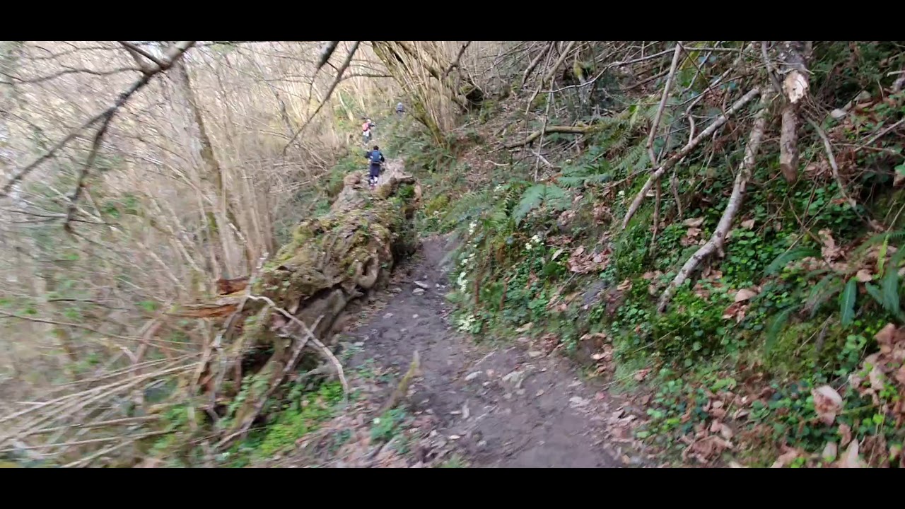 Ruta de los molinos de Bimenes (Nava - Asturias): sendero