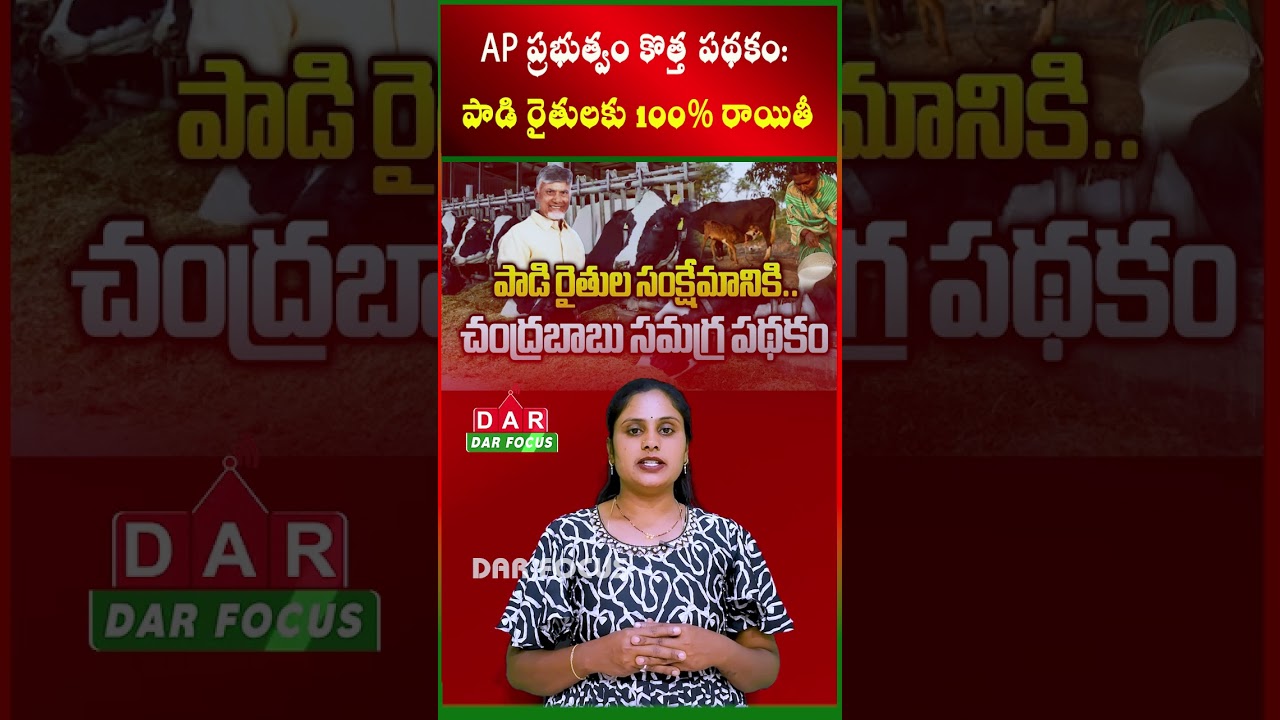 AP government's new scheme: 100% subsidy for dairy farmers | Latest updates | DAR FOCUS #darfocus