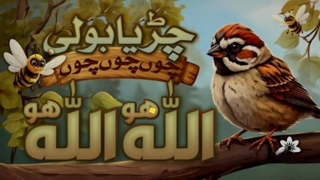 Chirya boli chu chu chu | ALLAH HOO ALLAH HOO | ( NOOR KIDS WORLD) 