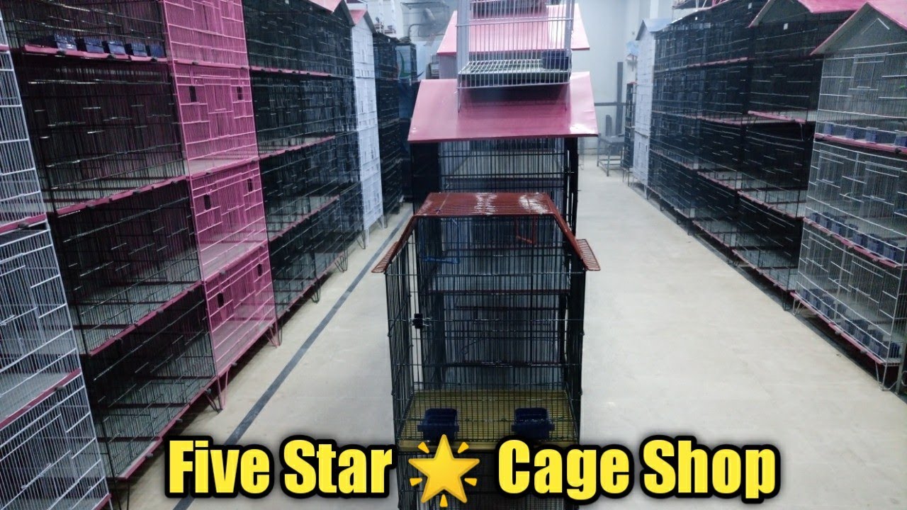 Five Star cage shop Price Latest Update 2021 in urdu/Hindi ||cages |Newcage |B4Birds