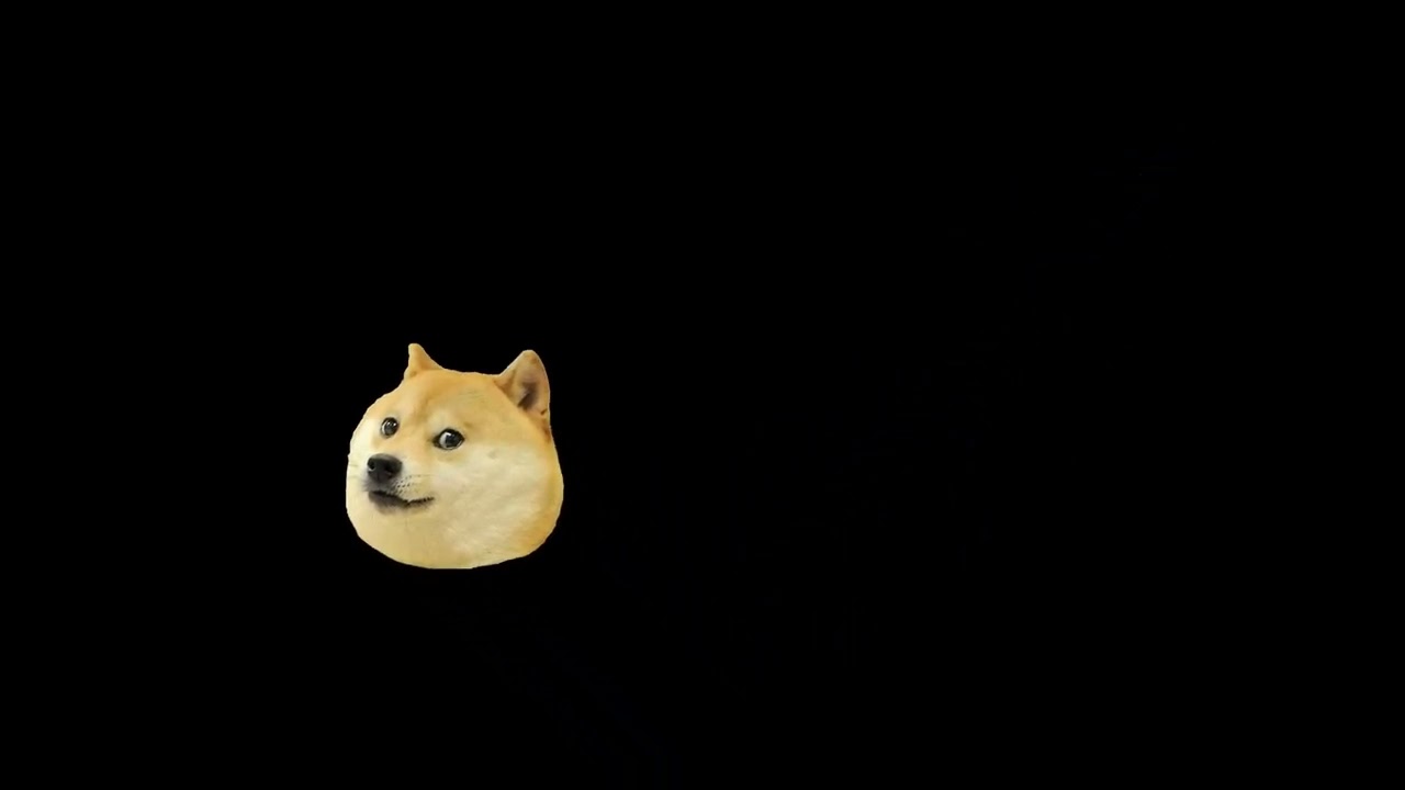 Dog MEMES screensaver | funny  Shiba inu puppy head | DVS bounce