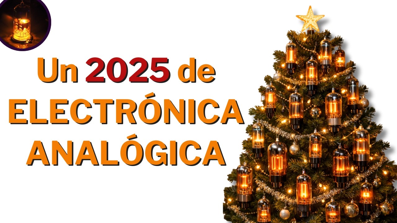 Un 2025 de ELECTRÓNICA ANALÓGICA | Top 12 + 1