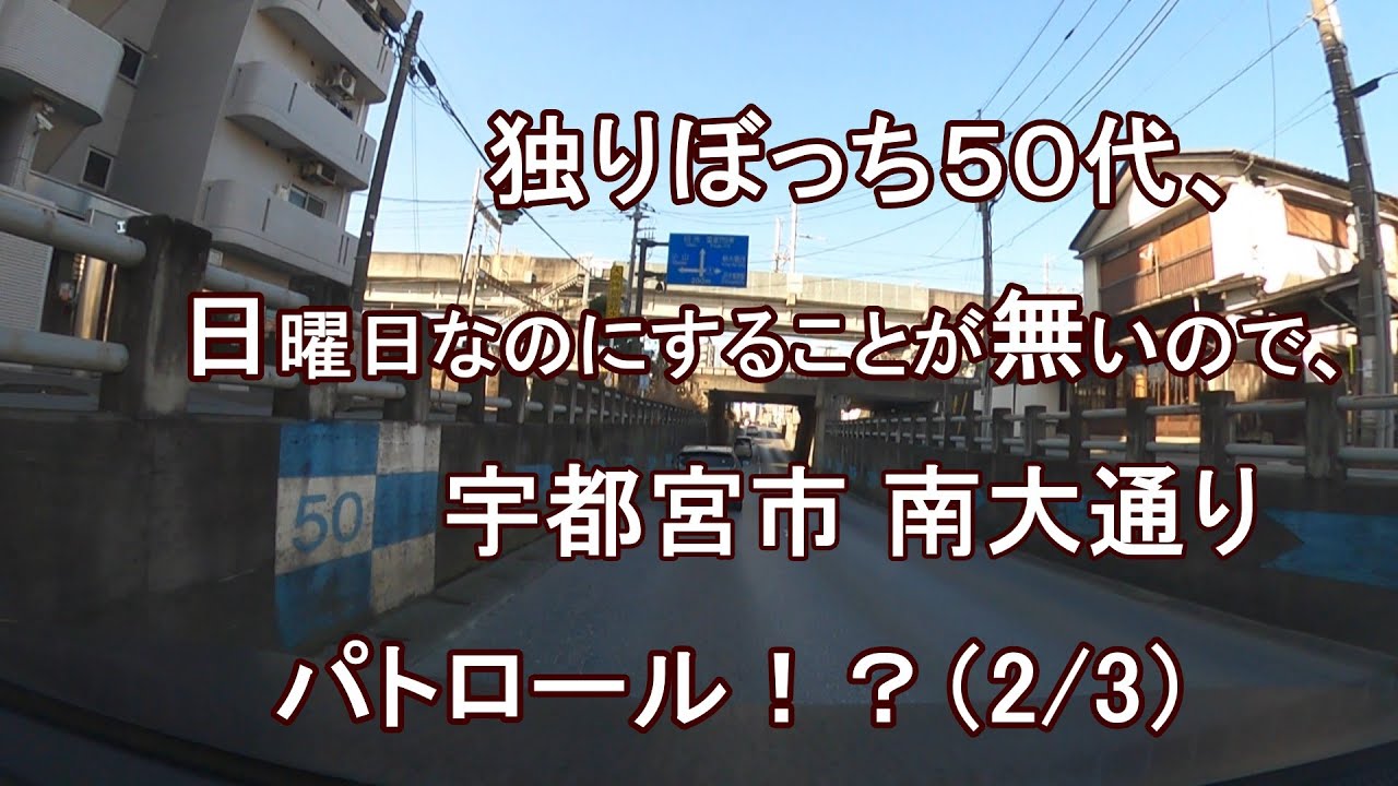 独りぼっち５０代、日曜日なのにすることが無いので、宇都宮市 南大通り パトロール！？（2/3）