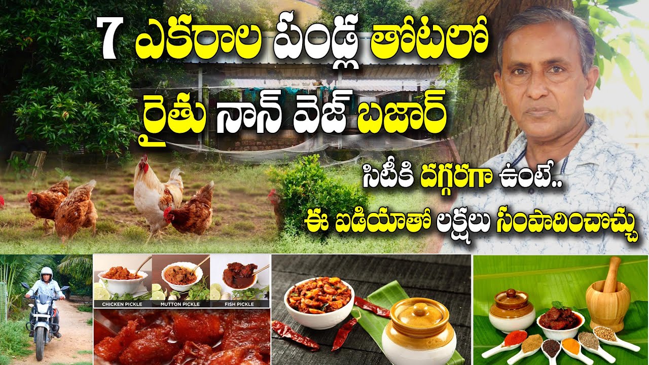 రూ. 350 కోడి ! పచ్చడి అమ్మితే రూ. 1400 - అంత లాభమా ? Farm Non Veg Pickles | Mallareddy 99598 68192
