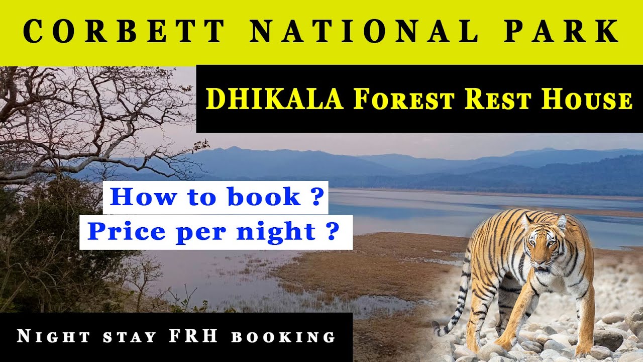 How to book night stay in Corbett FRH online | Dhikala FRH | Corbett National Park #tiger