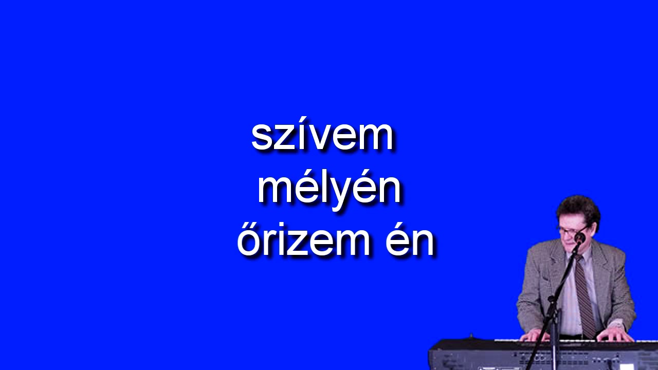 Magyar nóta karaoke Galamb szívet örököltem