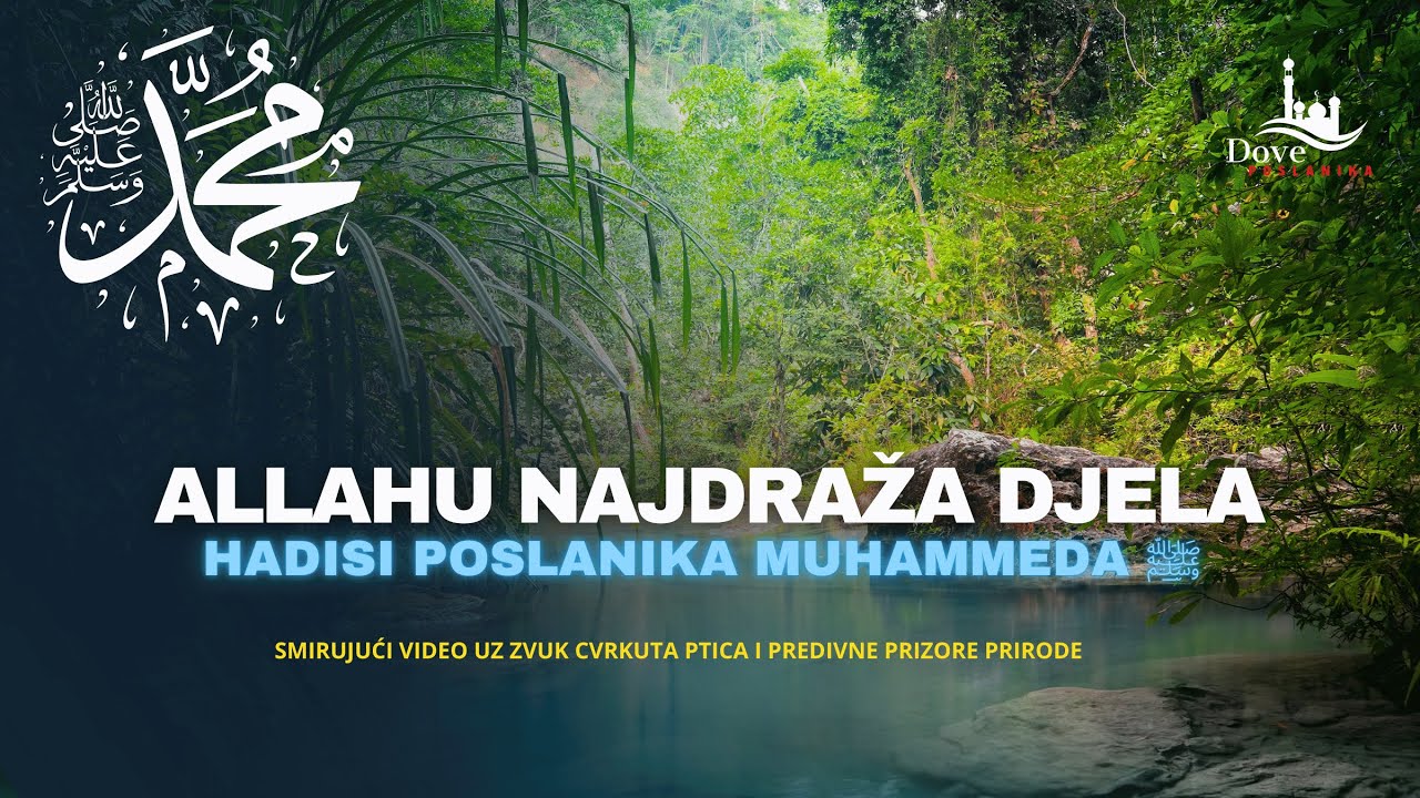 Allahu Najdraža Djela &ndash; Hadisi Poslanika Muhammeda ﷺ 🌿✨