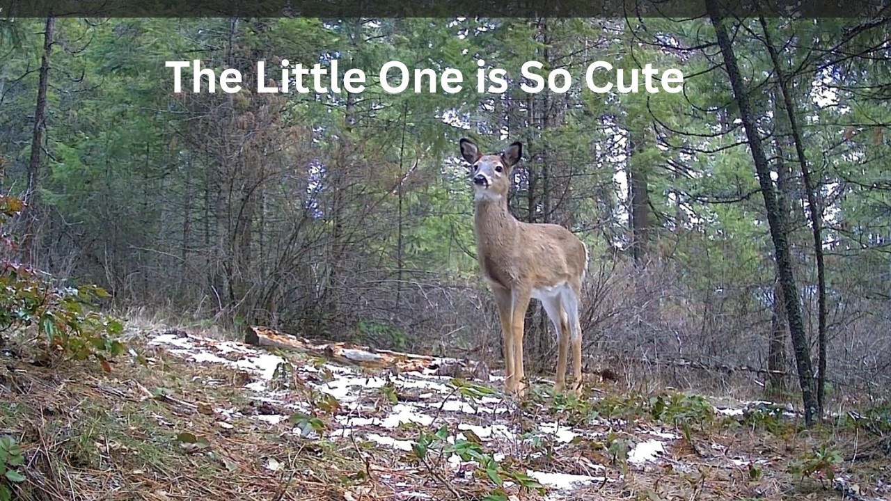 The Little One is So Cute