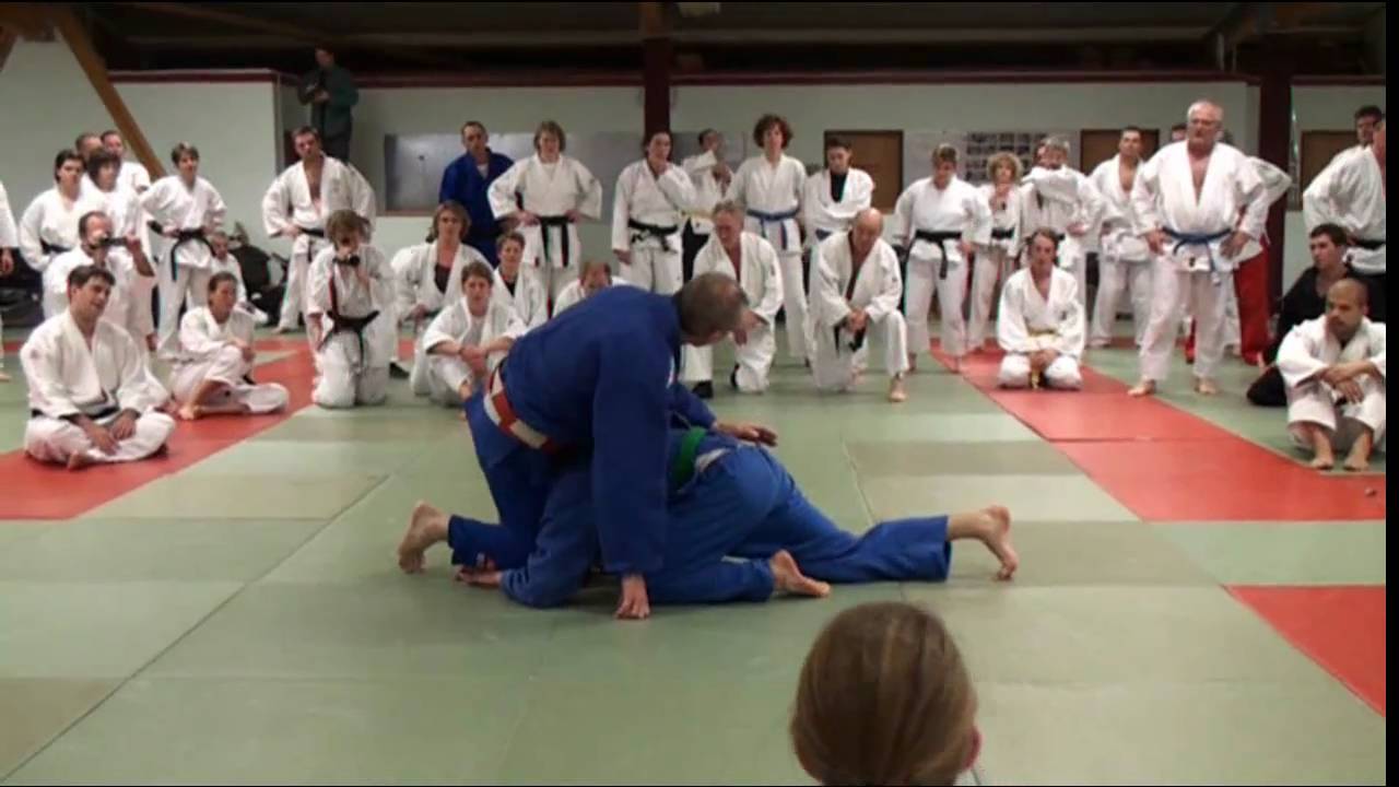 Landeslehrgang Ju Jutsu mit Achim Hanke am 15.01.11 in Pulheim