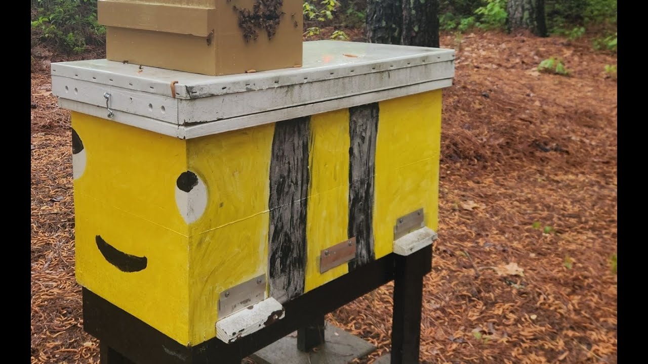 A New Swarm for Big Bee Hive