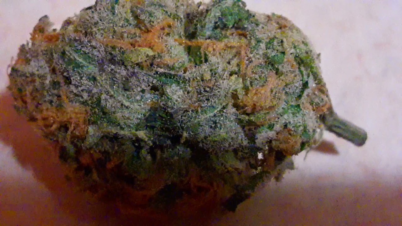 1Bowl Review ( Blueberry Cookies)🔥🔥💨💨🍀