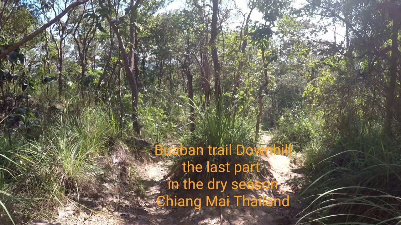 Buaban trail Downhill-4