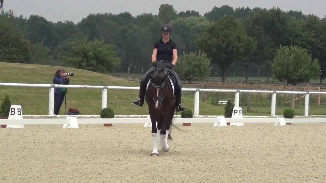 BONDS & Beatrice Buchwald - Trainingstag 1. WM-Sichtung 2018