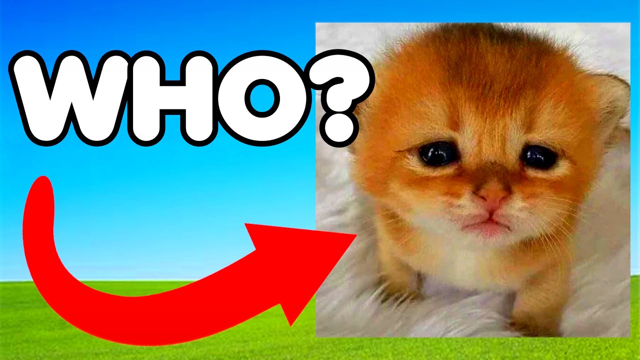 WHO IS BIG POO???