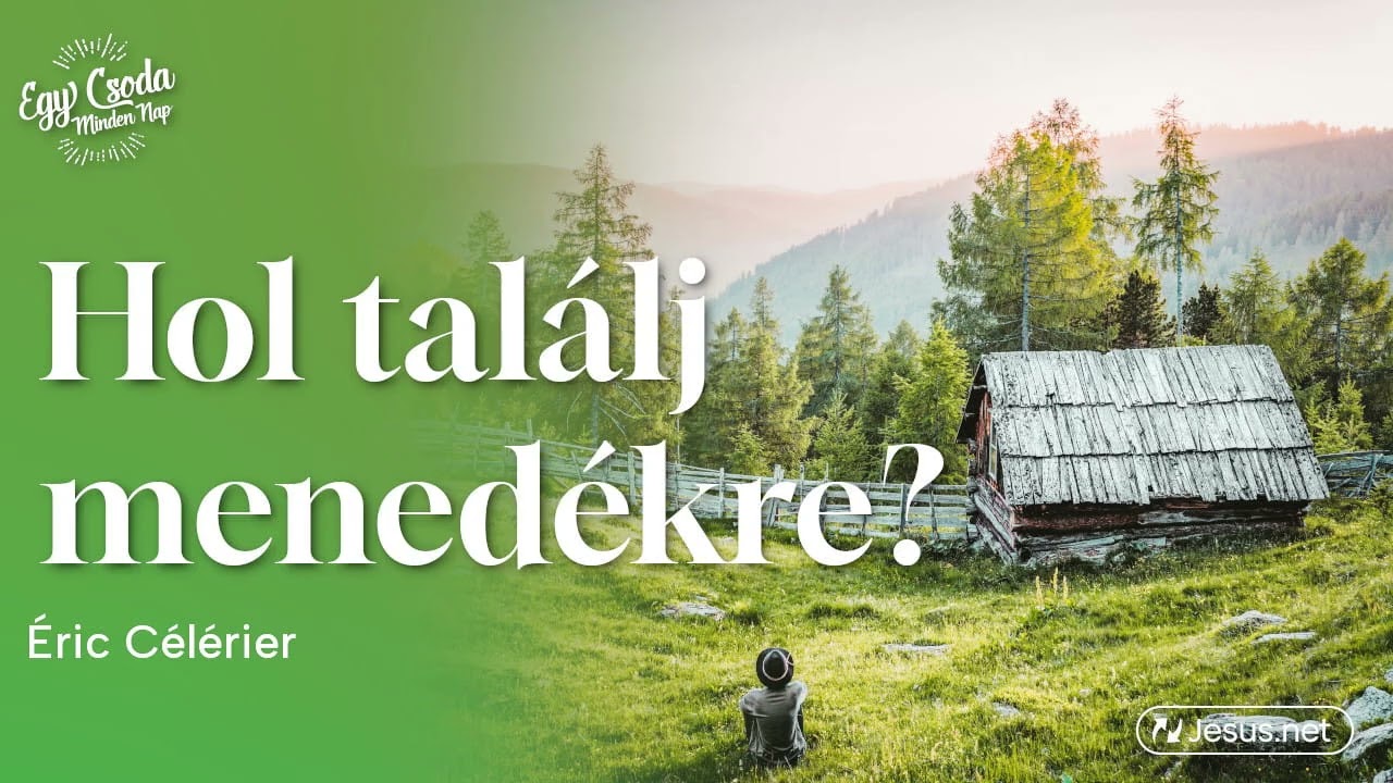 Testvérem, hol találj menedékre?🛖
