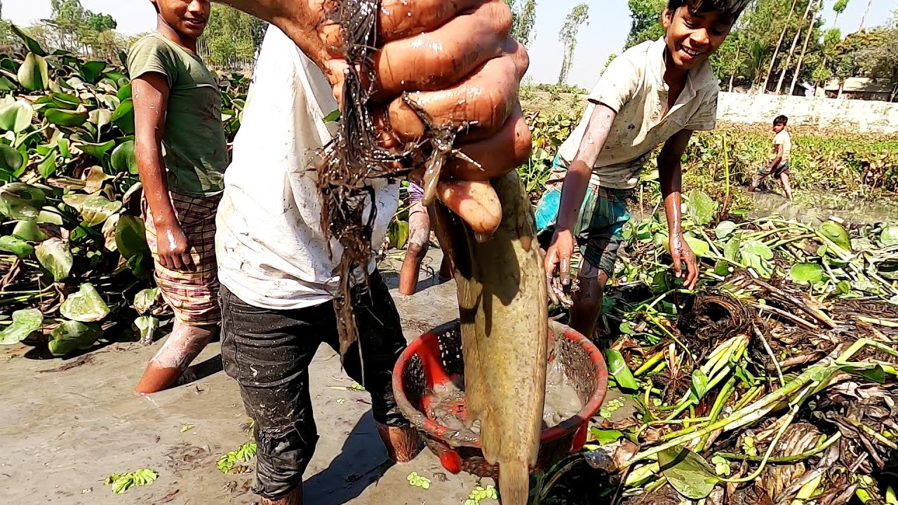 Village Boy Amazing Hand Fishing in Water Mud at Dry Season ! Best Catfish Fishing 