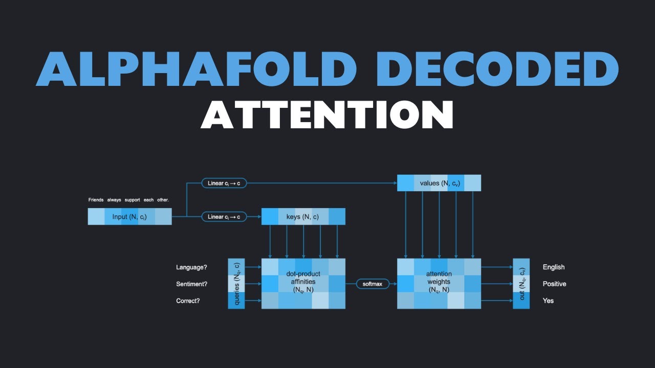AlphaFold Decoded: Attention (Lesson 3)