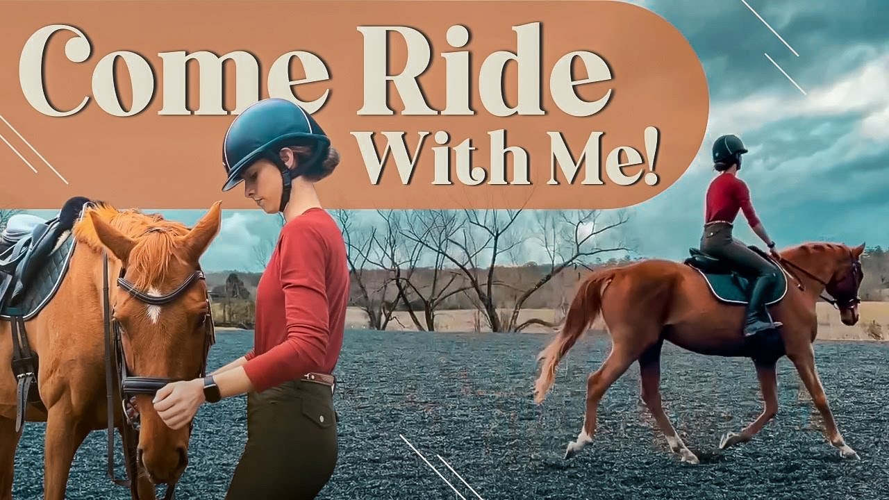 RIDING MY BOSS'S NEW OTTB // barn vlog #26