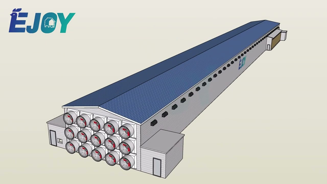 3D Model of a 50,000-Capacity Layer House Design | Modern Chicken House