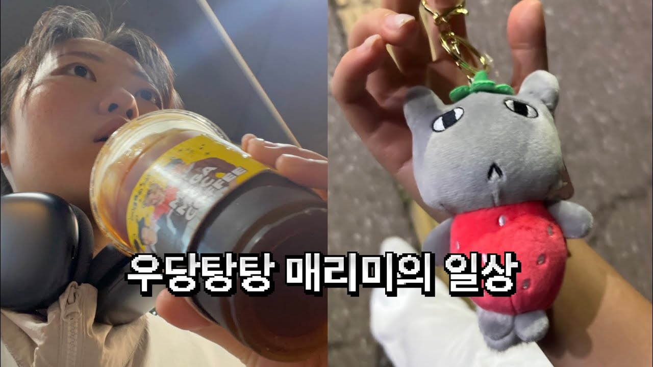 매리미 인형 뽑음🐈&zwj;⬛ 회사 가고🏫 병원 가고🏥 PC방 가는 일상🕹️ #우당탕탕매리미의일상