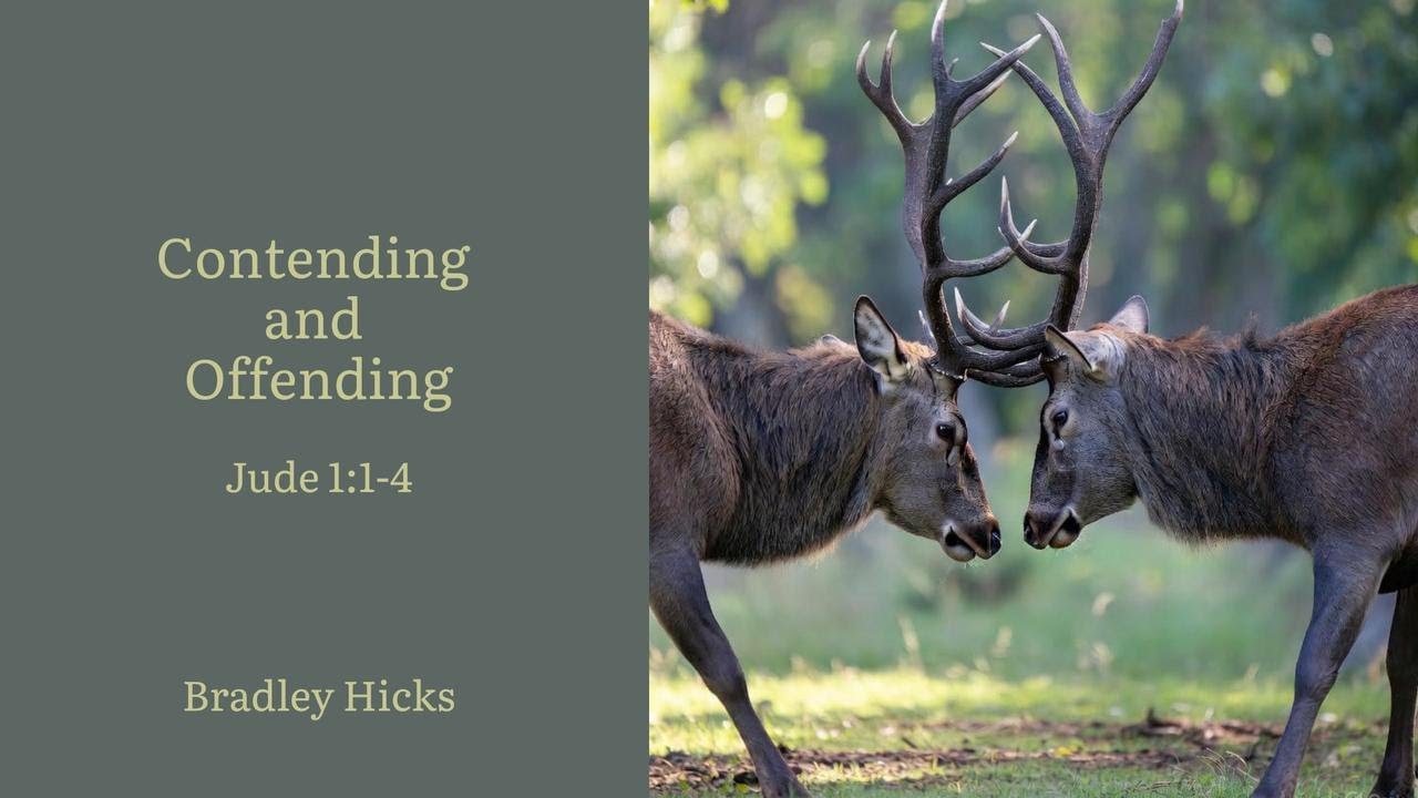 Bradley Hicks - Contending and Offending