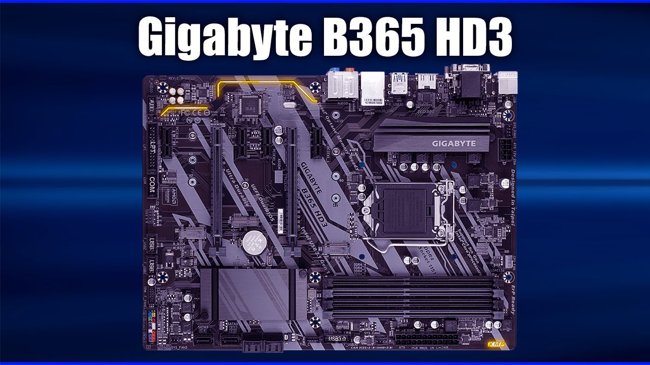 Материнская плата Gigabyte B365 HD3