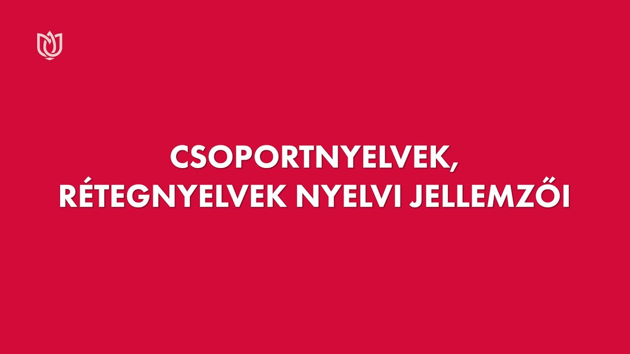 Csoportnyelvek, rétegnyelvek nyelvi jellemzői