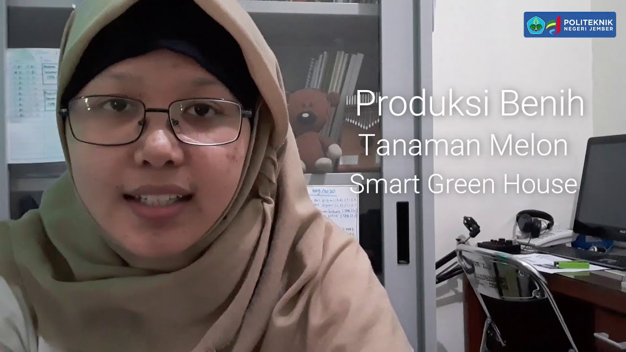 Praktikum Produksi Benih Melon di Smart Green House