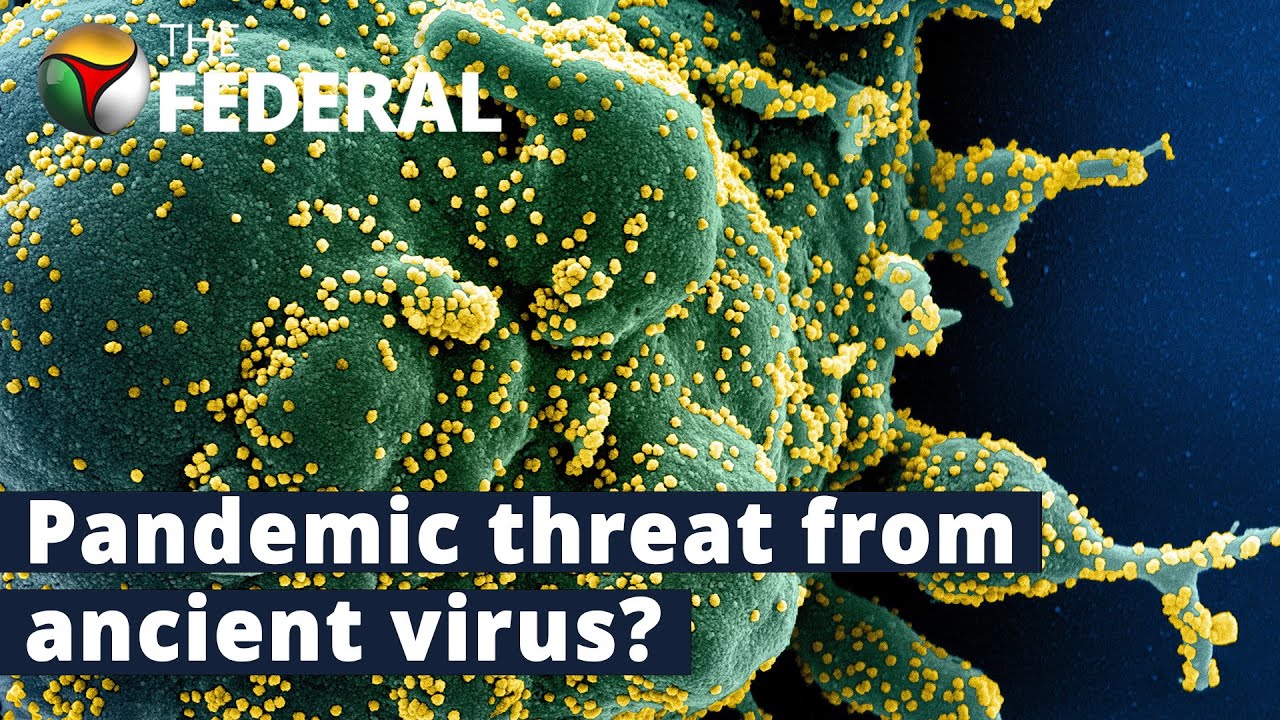 Scientists revive almost 50,000-year-old Zombie virus buried in ice | The Federal