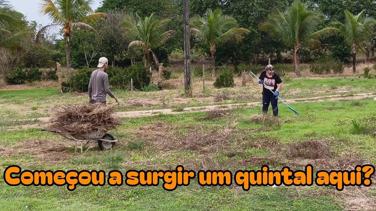 Começou a surgir um quintal aqui?