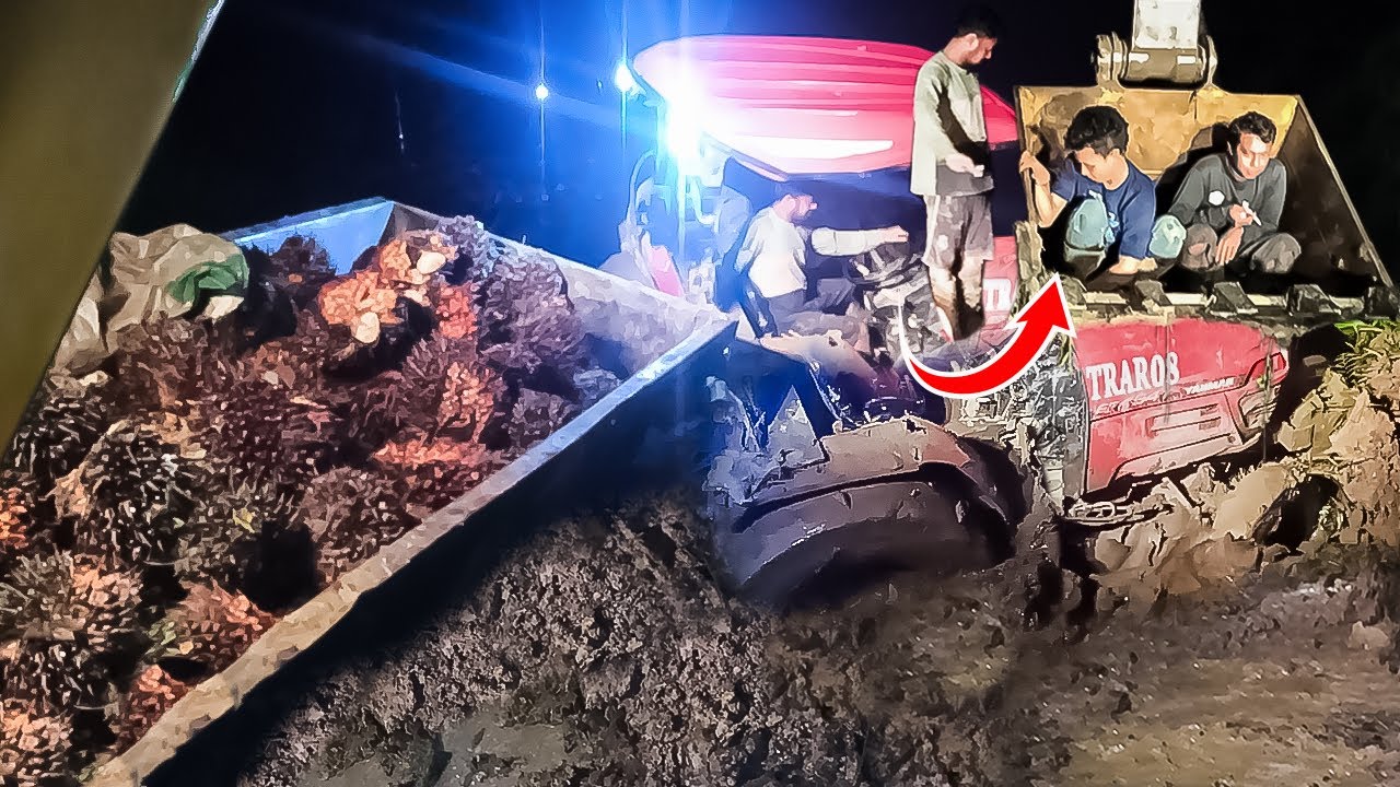 Excavator saves tractor and drivers/operators while being stuck in deep mud until deep night