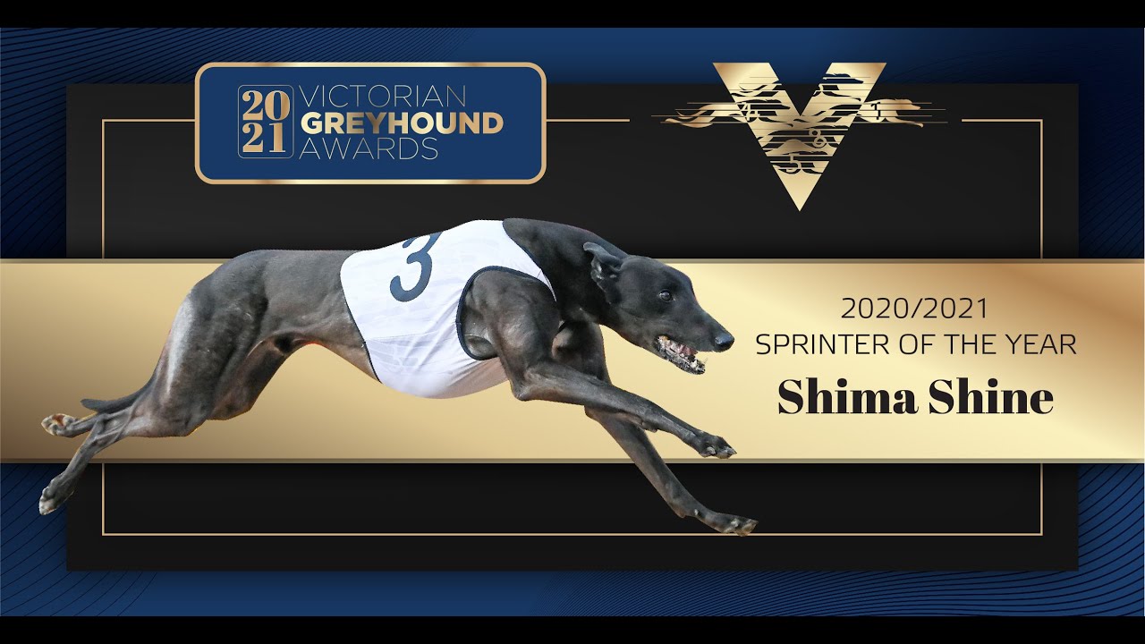 2021 Victorian Sprinter of the Year: Shima Shine