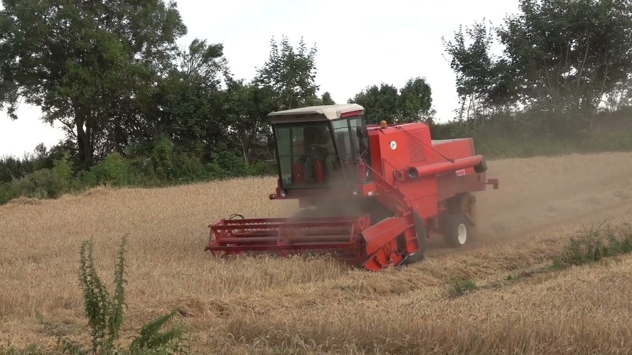 Bizon Rekord Z058 & Bizon Super Z056 || Żniwa 2022 cz.23 ||