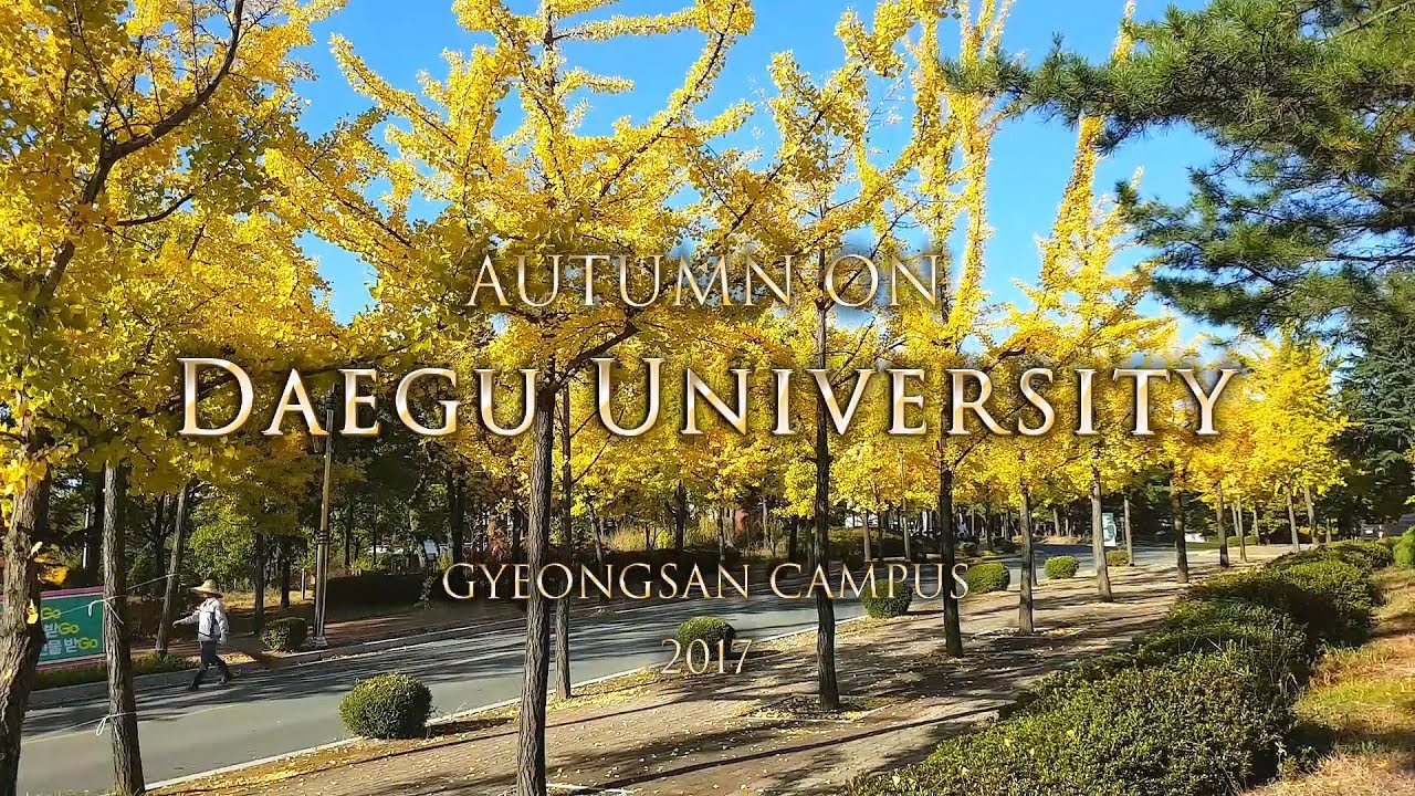 [대구대] Autumn on Daegu University's Campus (가을 단풍으로 물든 대구대학교 경산캠퍼스) / 2017