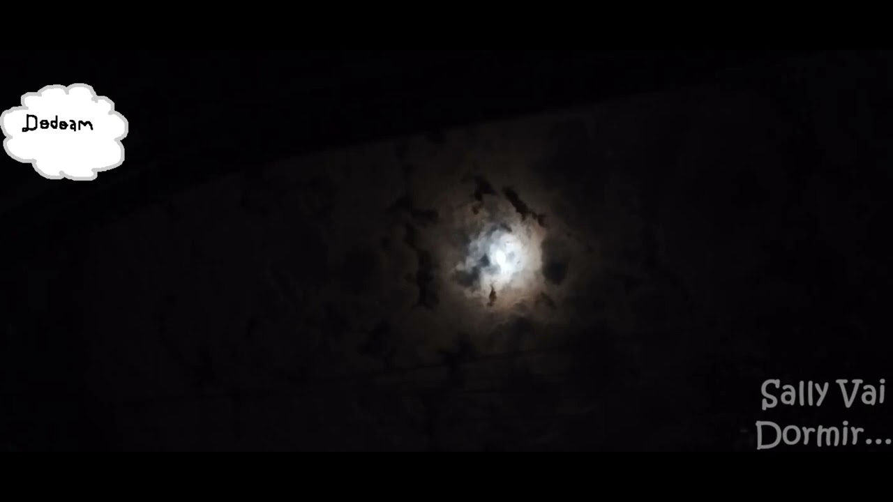 Dodoam - Sally Vai Dormir