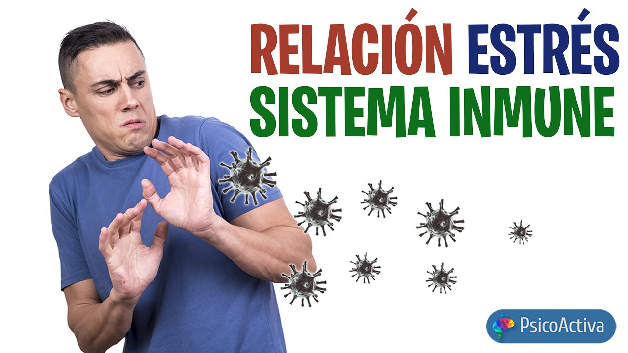 La relación entre el estrés y nuestro sistema inmunológico