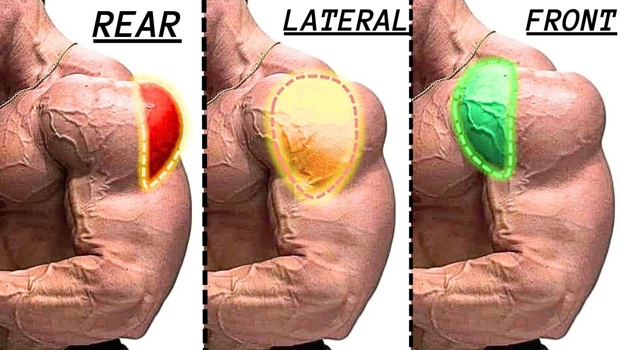 TOP 5 REAR DELTOID / LATERAL DELTOID / FRONT DELTOID WORKOUT WITH DUMBBELLS ONLY
